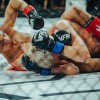 vfn-vikings, ljutomer, mma, borilne-veščine, kletka