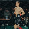 vfn-vikings, ljutomer, mma, borilne-veščine, kletka
