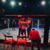 vfn-vikings, ljutomer, mma, borilne-veščine, kletka