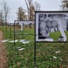 vandalizem, razstava, park-dozivetij, boreci, obcina-krizevci