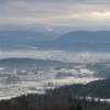 _pozimi_novo_mesto.jpg