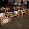 img_8920_000.jpg