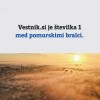 statistika, statistični, vestnik.si, splet, analiza