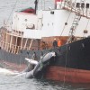 Hvalskurður_026.jpg
