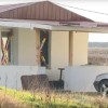 negotin-moseja.jpg