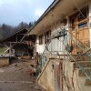 grivec08.jpg