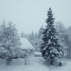 MES20211202_IMG_0186.JPG