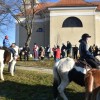 blagoslov-konjev, kapelski-vrh