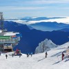 925805_301-pregledgo-kanin1.jpg