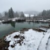 Zelenci