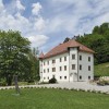 dvorec drnča 3.jpg