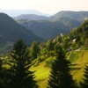 Polšnik.jpg