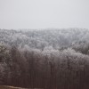 simbolična, zima, sneg, narava, gozd, krošnje, megla, rosa, sren