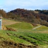 1701090161_cg_ljubstava.jpg