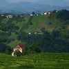 1612787202_cg_vino_simbolika.jpg