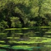 1707749384_cg_sanacijski_nacrt_lagune.jpg