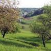 1620549890_sd-travniski_sadovnjaki.jpg