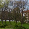 1619093022_cg_cmd_1.jpg