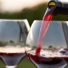 1532345201_cg_vino.jpg