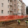 1576662072_cg_gregorcicev_drevored.jpg