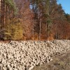 1639407133_mh-sladkorna_pesa.jpg