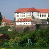 1525600437_cg_ptuj.jpg
