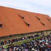 1580141162_cg_zitnica.jpg