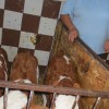1472465731_img_4216.jpg