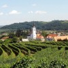 1549891638_občina_zavrč-lezeča_čez_4_kolone.jpg