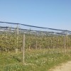 1622124296_sd-interventni_zakon.jpg