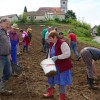 1525883320_cg_vitomarci_vinograd_1.jpg