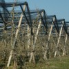 1616074415_sd-pomoč_vinarjem_in_sadjarjem.jpg
