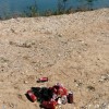 1598877292_dz-green_lake2.jpg