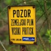 1668438381_cg_plin.jpg