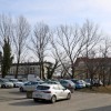 1581950017_cg_potrceva.jpg