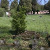 1628251222_pokopalisce_golovec_089.jpg