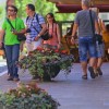 1710414553_cg_turizem_1.jpg