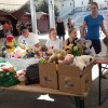 1699279396_ek_drustvo_starse_1.jpg