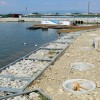1532856953_cg_ranca.jpg