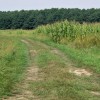 1567672913_sd-poljske_poti.jpg