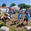 1685620866_sd-kos.jpg