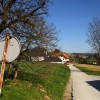 1649331936_cg_krcevina_pri_ptuju.jpg