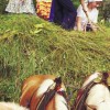 1550944090_list_iz_markovcev.jpg