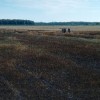 1468504877_pozar1.jpg