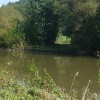 1624259943_dravinja-fluss-slowenien.jpg