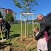 1631794616_sd-gradnja_čistilne_naprave.jpg