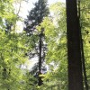 1619944546_7_foto_bostjan_hren_-_plezalec_rado_nadvesnik._meritev_z_merskim_trakom_in_plezanjem_na_d
