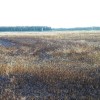 1468335789_img_20160711_164453.jpg
