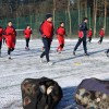 1484130755_cg_nogomet_aluminij_trening_1.jpg