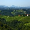 1626097990_cg_razpisi_haloze_1.jpg